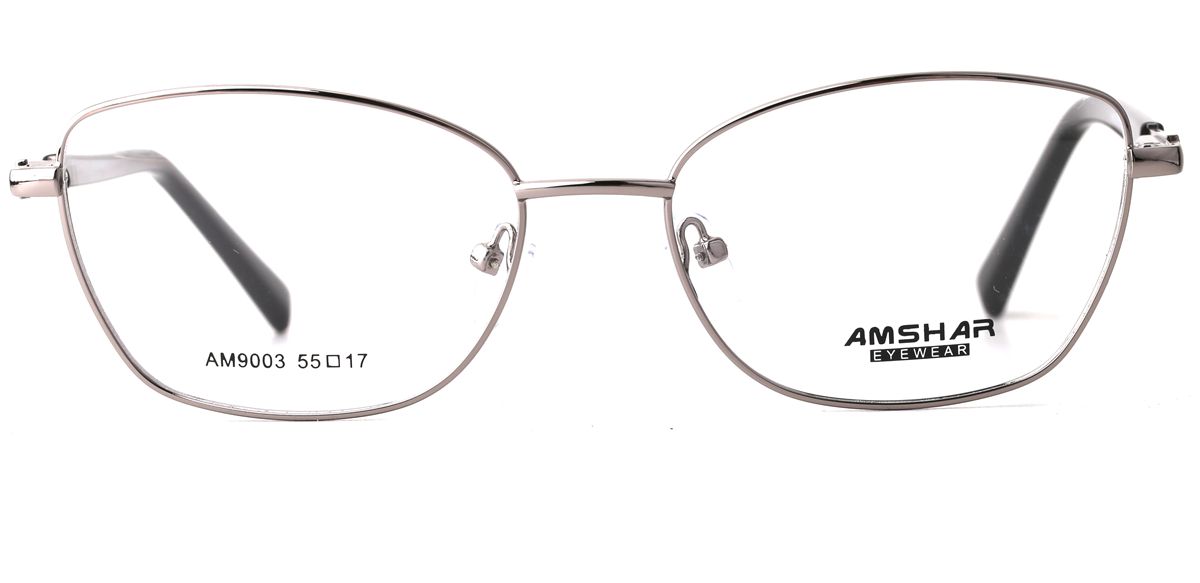 AM9003