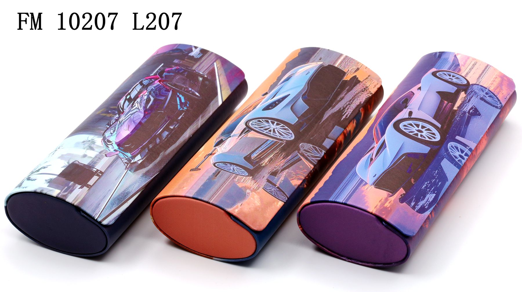 FM10207-L207