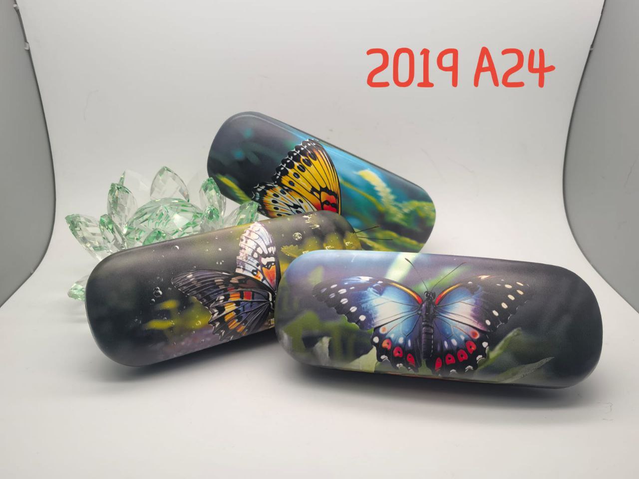 FM2019-A24