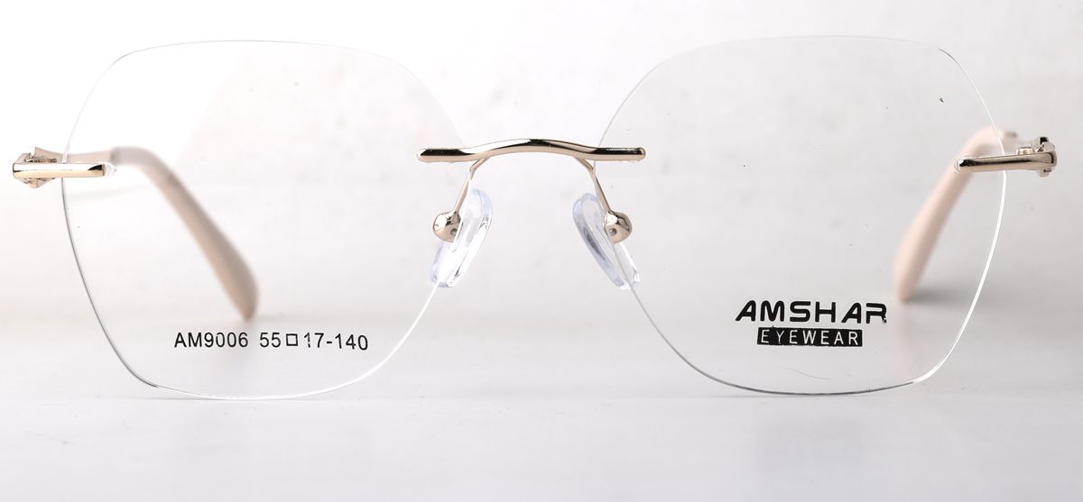 AM9006