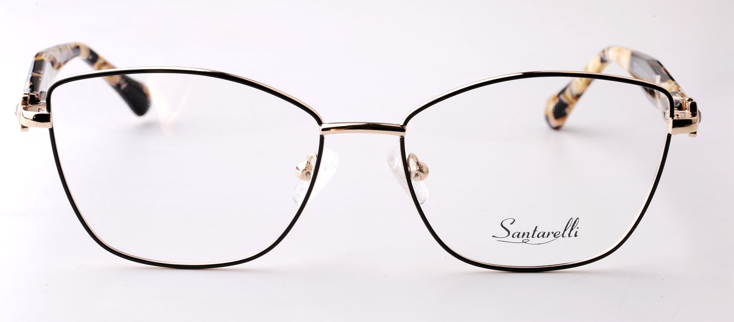 DS-M100