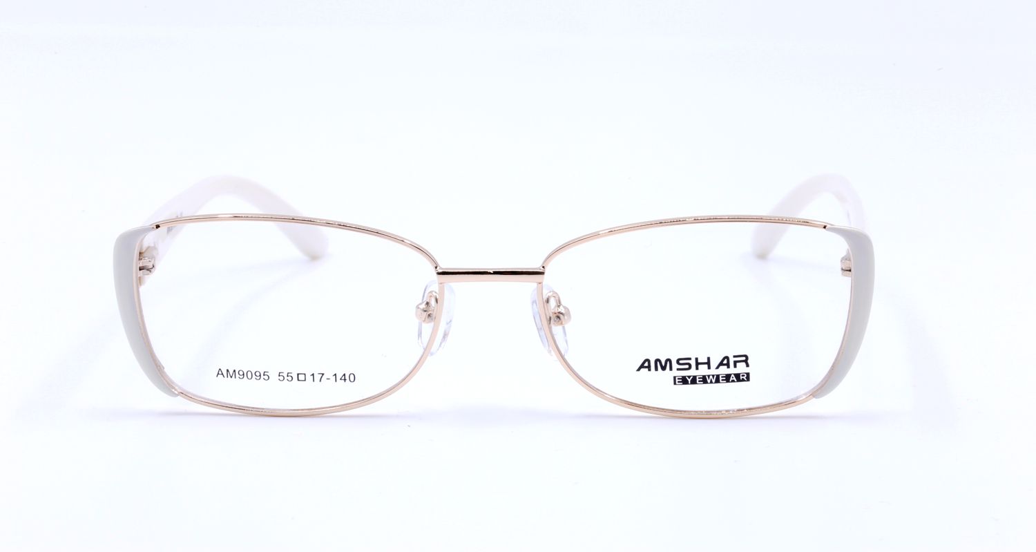AM9095